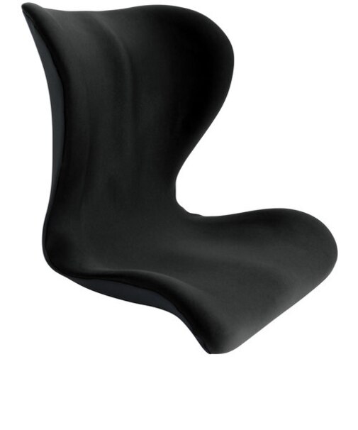 【当商品送料無料】ボディサポート シート ボディサポートシート 姿勢サポート 通販 座椅子 姿勢 姿勢ケア サポートチェア ボディメイクシート