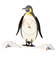 ペンギン