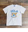 【当商品送料無料】UCLA YALE HAWAII Michigan Tシャツ 通販 半袖Tシャツ カットソー 半袖tシャツ tシャツ 半袖シャツ