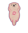 ラッコ