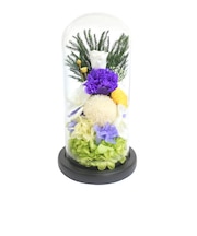 【当商品送料無料】仏花 プリザーブドフラワー 仏壇用 通販 ブリザーブドフラワー アレンジメントフラワー お供え 造花 ガラスドームアレンジメント