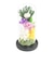 【当商品送料無料】プリザーブドフラワー 仏花 通販 お供えガラスドーム 光莉 ひかり お供え物 おしゃれ 枯れない 水やり不要 法事 花 お盆