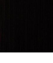 【当商品送料無料】プリシラ 部分 ウィッグ prisila 通販 前髪ウィッグ 部分ウィッグ ポイントウィッグ 前髪 カツラ 部分かつら 耐熱