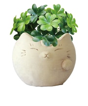 【当商品送料無料】光触媒 フェイクグリーン 通販 卓上 イミテーショングリーン おしゃれ 陶器 インテリアプランツ 消臭 抗菌 インテリア 造花
