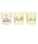 【当商品送料無料】ベビー コップ 3個セット 通販 赤ちゃん食器 カップ 3個入り キッズ 子供 子ども 男の子 女の子 食洗機対応 抗菌