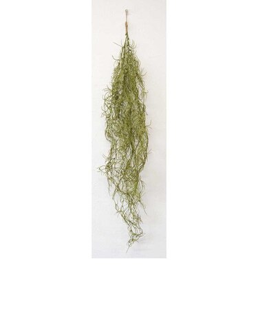 【当商品送料無料】光触媒 フェイクグリーン 通販 観葉植物 フェイク グリーンブッシュ CT触媒 吊り下げ ハンギング 消臭 抗菌 防汚 空気清浄