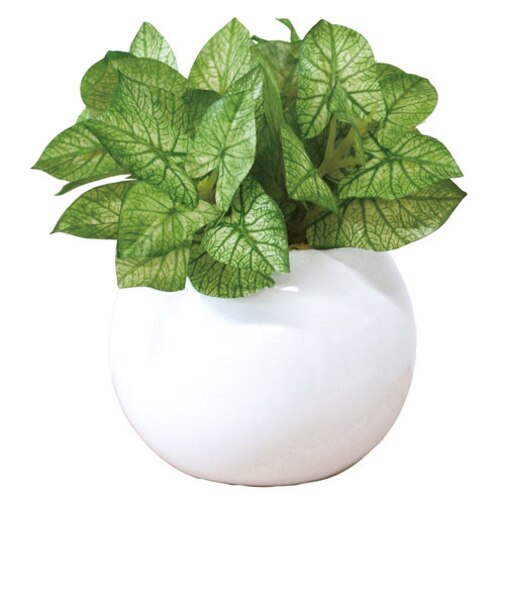 【当商品送料無料】光触媒 フェイクグリーン 通販 観葉植物 フェイク ラウンドポットL CT触媒 卓上 小さい 消臭 抗菌 防汚 空気清浄