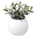 【当商品送料無料】光触媒 フェイクグリーン 通販 観葉植物 フェイク ラウンドポットL CT触媒 卓上 小さい 消臭 抗菌 防汚 空気清浄