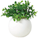 【当商品送料無料】光触媒 フェイクグリーン 通販 観葉植物 フェイク ラウンドポットL CT触媒 卓上 小さい 消臭 抗菌 防汚 空気清浄