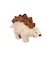 Stegosaurus