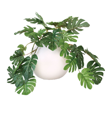 【当商品送料無料】光触媒 フェイクグリーン 通販 イミテーショングリーン 人工観葉植物 インテリアグリーン 中型丸鉢 消臭 抗菌 防カビ ポット