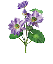 【当商品送料無料】蓮 花 造花 通販 蓮の花 はすの花 アーティフィシャルフラワー アーティフィシャルグリーン アートフラワー フェイクフラワー