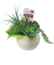 【当商品送料無料】観葉植物 フェイク 小さい 通販 フェイクグリーン アーティフィシャルグリーン インテリアグリーン 人工観葉植物 卓上 小さめ