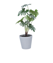 【当商品送料無料】観葉植物 フェイク 大型 通販 フェイクグリーン セローム アーティフィシャルグリーン インテリアグリーン 人工観葉植物 大きめ