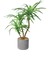 【当商品送料無料】観葉植物 フェイク 大型 通販 フェイクグリーン アーティフィシャルグリーン インテリアグリーン 人工観葉植物 大きめ 鉢植え