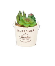 【当商品送料無料】光触媒 観葉植物 卓上 通販 バケツ フェイクグリーン ミニ おしゃれ 造花 ギフト プチギフト 贈り物 かわいい 消臭 抗菌