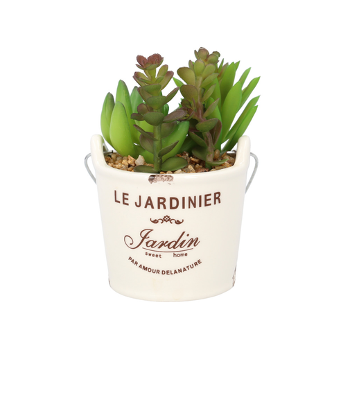 【当商品送料無料】光触媒 観葉植物 卓上 通販 バケツ フェイクグリーン ミニ おしゃれ 造花 ギフト プチギフト 贈り物 かわいい 消臭 抗菌