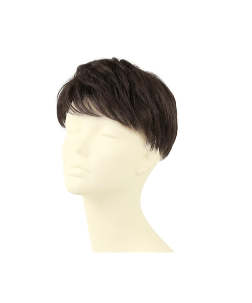 【当商品送料無料】PRISILA プリシラ メンズ 部分ウィッグ 部分ウイッグ 通販 部分かつら ヘアピース カバーピース かつら ウィッグ