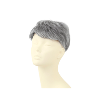 【当商品送料無料】PRISILA プリシラ メンズ 部分ウィッグ 部分ウイッグ 通販 部分かつら ヘアピース カバーピース かつら ウィッグ