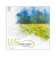 Wind