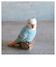 Parakeet