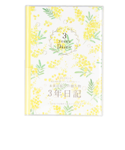 【当商品送料無料】日記帳 3年日記 通販 クローズピン ダイアリー ノート 3年連用日記 フリータイプ 日付フリー B6サイズ しおりひも付き