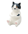 ハチワレ