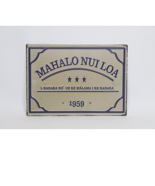 【当商品送料無料】村田屋産 ティンプレート アイアン 通販 サインボード サインプレート 看板 壁飾り デザインボード ティンサイン 玄関 洗面所