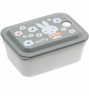 【当該商品送料無料】保存容器 プラスチック 通販 スケーター PAS5AG キャニスター 弁当箱 450ml パッキン一体型弁当箱 ランチボックス