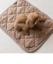 【当該商品送料無料】ペット用 パッド L 通販 犬用マット ペット用マット ペットマット ペットパッド ペット用パッド 敷きパッド マット