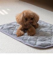 【当該商品送料無料】ペット用 パッド L 通販 犬用マット ペット用マット ペットマット ペットパッド ペット用パッド 敷きパッド マット
