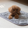 【当該商品送料無料】ペット用 パッド L 通販 犬用マット ペット用マット ペットマット ペットパッド ペット用パッド 敷きパッド マット