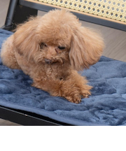 【当該商品送料無料】ペット用 パッド L 通販 犬用マット ペット用マット ペットマット ペットパッド ペット用パッド 敷きパッド マット