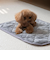 【当該商品送料無料】ペット用 パッド LL 通販 犬用マット ペット用マット ペットマット ペットパッド ペット用パッド 敷きパッド マット