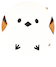 シマエナガ
