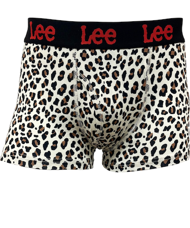 【当商品送料無料】ボクサーブリーフ メンズ 通販 Lee ボクサーパンツ パンツ 前開き 下着 ブリーフ インナー アンダーウェア ブランド リー