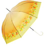 【当商品送料無料】because ビニール傘 ビコーズ B-552762 通販 長傘 ジャンプ傘 傘 雨傘 かさ カサ ビニール ジャンプ 58cm