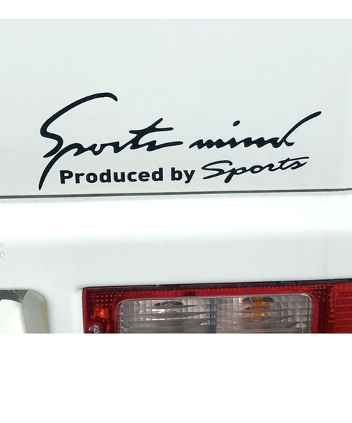 【当商品送料無料】車 ステッカー おしゃれ 通販 Lサイズ 約10×30cm 車に貼るステッカー カッティングシート 外装 カーアクセサリー