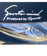 【当商品送料無料】車 ステッカー おしゃれ 通販 Lサイズ 約10×30cm 車に貼るステッカー カッティングシート 外装 カーアクセサリー