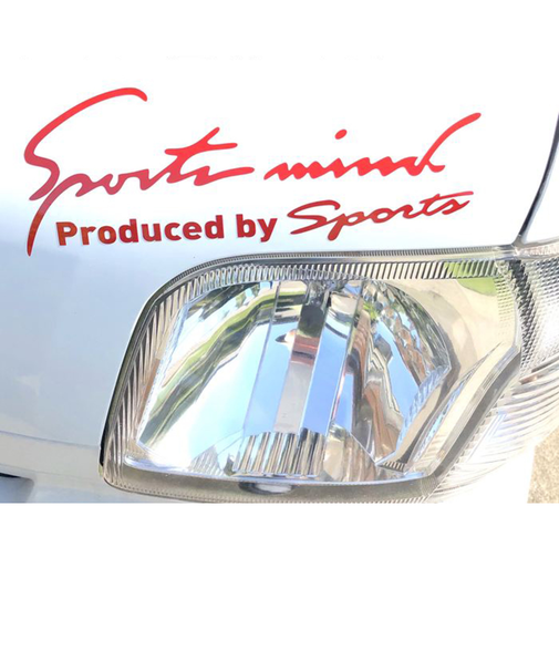 【当商品送料無料】車 ステッカー おしゃれ 通販 Lサイズ 約10×30cm 車に貼るステッカー カッティングシート 外装 カーアクセサリー