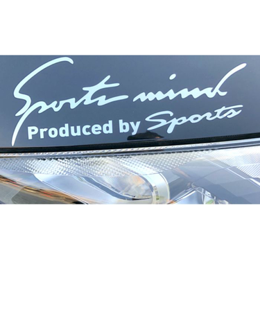 【当商品送料無料】車 ステッカー おしゃれ 通販 Lサイズ 約10×30cm 車に貼るステッカー カッティングシート 外装 カーアクセサリー