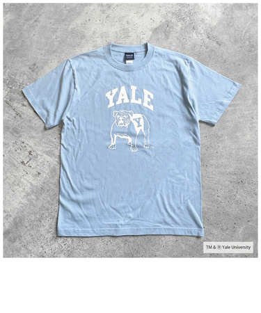 【当商品送料無料】Tシャツ シャツ 半袖 YALE 通販 カットソー tシャツ 半袖Tシャツ 半袖tシャツ カジュアルシャツ クルーネック プリント