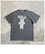 【当商品送料無料】Tシャツ シャツ 半袖 UCLA 通販 カットソー tシャツ 半袖Tシャツ 半袖tシャツ カジュアルシャツ クルーネック プリント