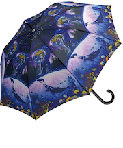 【当商品送料無料】ジャンプ傘 レディース 通販 長傘 雨傘 58.5cm ワンタッチ傘 ワンタッチ開閉 レディース傘 かさ カサ 傘 大人 女性