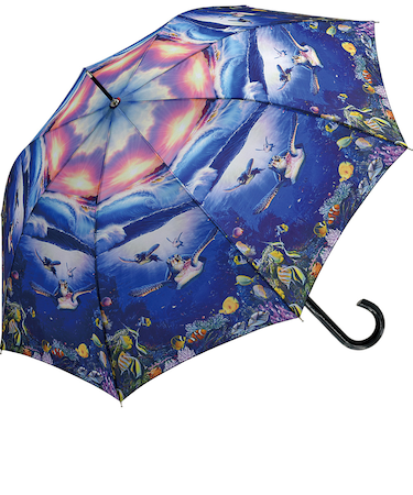 【当商品送料無料】ジャンプ傘 レディース 通販 長傘 雨傘 58.5cm ワンタッチ傘 ワンタッチ開閉 レディース傘 かさ カサ 傘 大人 女性