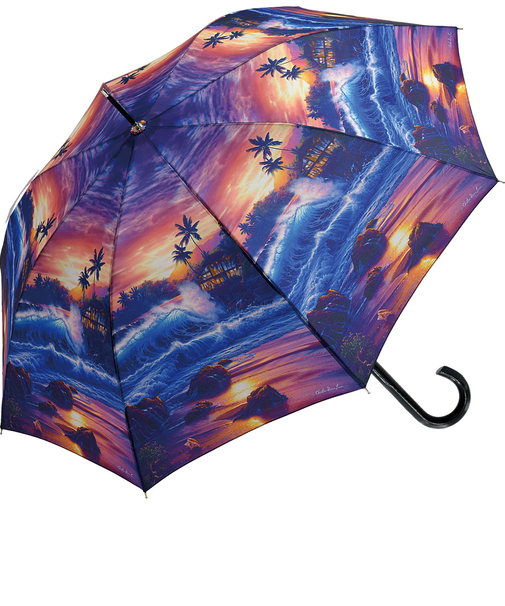【当商品送料無料】ジャンプ傘 レディース 通販 長傘 雨傘 58.5cm ワンタッチ傘 ワンタッチ開閉 レディース傘 かさ カサ 傘 大人 女性