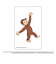 【当商品送料無料】おさるのジョージ グッズ 通販 Curious George クリアカード まじかる百貨店クリアカード 4947864052911