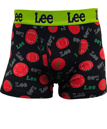 【当商品送料無料】lee ボクサーパンツ 通販 ボクサーブリーフ メンズ パンツ 前開き 下着 ブリーフ インナー アンダーウェア ブランド リー