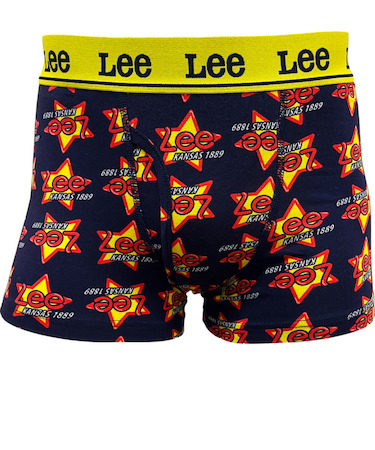 【当商品送料無料】lee ボクサーパンツ 通販 ボクサーブリーフ メンズ パンツ 前開き 下着 ブリーフ インナー アンダーウェア ブランド リー