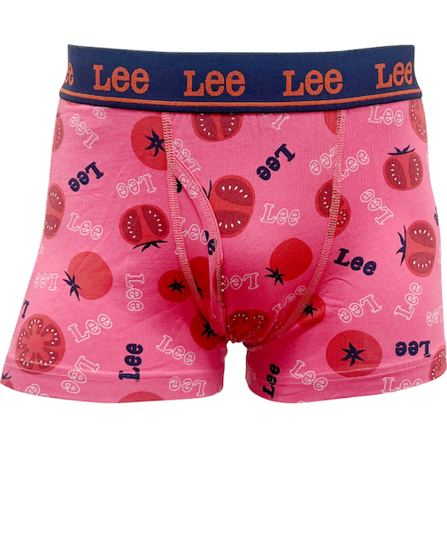 【当商品送料無料】lee ボクサーパンツ 通販 ボクサーブリーフ メンズ パンツ 前開き 下着 ブリーフ インナー アンダーウェア ブランド リー